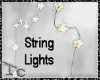 Farmhouse String Lights