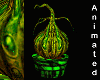 alien plant in a pot ANI