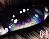 BRODY Ombre Eyes M/F