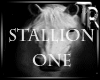 TR*Stallion one