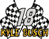 Kyle Busch 18