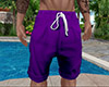 Purple Shorts (M)