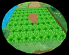 Grassy Rug