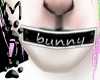 (MOJO) Mouth Tape bunny