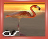 GS Flamingo