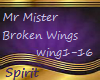 Mr Mister Broken Wings