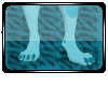 [SR] Bleu Feet Paws M