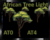 *African Tree Light