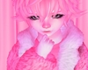 Femboy Sissy Brat Kawaii Harajuku Cute Pink Doll