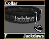 Jackdaws Collar F