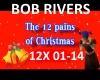 12 PAINS OF XMAS