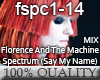 FlorenceTM - SpectrumRMX