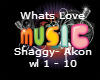whats love - Shaggy