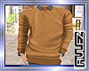 Brown Male Sweater