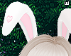 w. Bunny Pink Ears