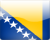 Bosnia&Herzegowina Flag
