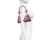 SoBe Atelier Blush
