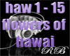 flowers of hawai