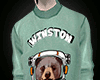 Sweater Bear Astronaut