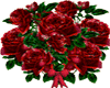 [PM]loving roses animate