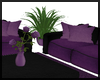 Sofa Set ~ Purples