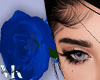 VK. Blue Head Rose