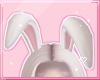 ℓ bunny ears