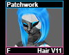 Patchwork Hair F V11