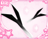 . black leek aura