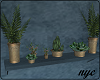 Nala Wall Plants