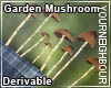 !Garden Mushrooms