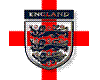 England Roatating Flag