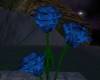[Lu]Blue Moon Roses