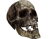 Pirate Skull Rock NPC 2