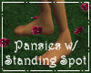 26 Pansies w/ Stand Spot