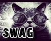 Swag Cat II