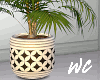 Dundee Planter