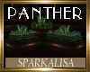 (SL)Panther corner plant