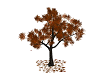 Animated Autumn Oak