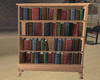 Willow's Book Case