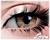 💗 Right Brown Eyes