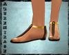 ^AZ^Gold/Brown Sandals
