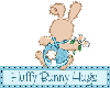 Fluffy Bunny Hugs