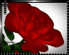 *R*Rose Heart