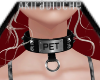 ∢ Pet Collar