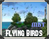 !  FLYING BIRDS