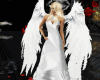 sexy angel wings anmtd