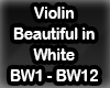 Violin Beautiful White
