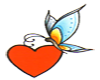 HEART and Butterfly