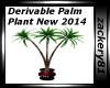 Derv Palm Plant 2014